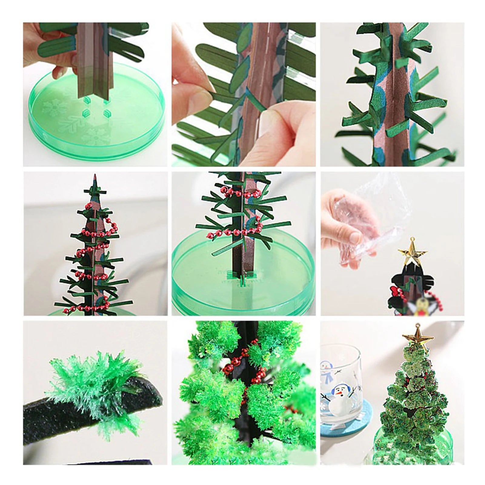 Magic Growing Christmas Tree